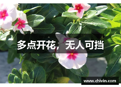 多点开花，无人可挡